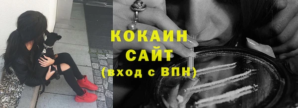 PSILOCYBIN Беломорск
