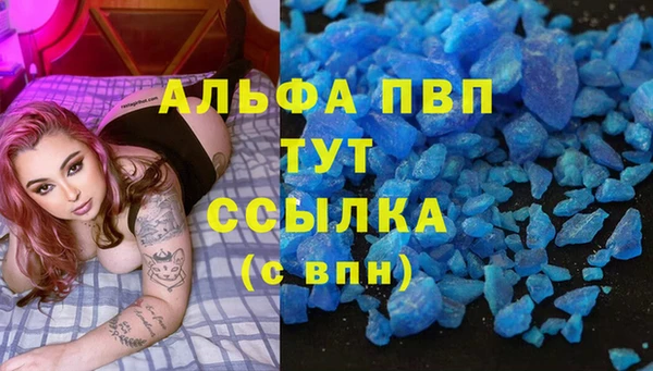 индика Балабаново