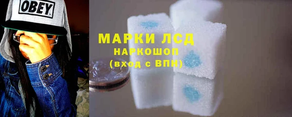 индика Балабаново