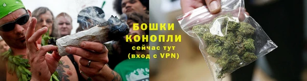 PSILOCYBIN Беломорск