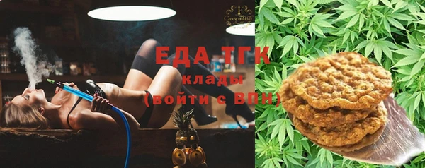 индика Балабаново