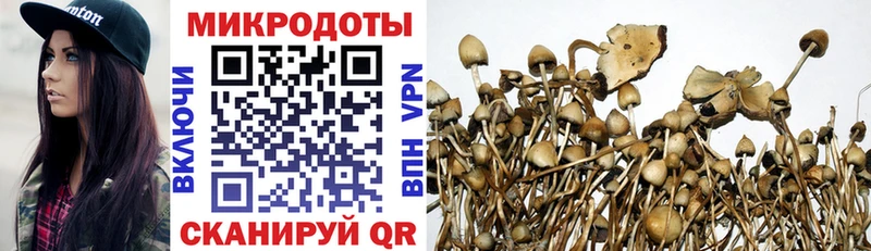 Галлюциногенные грибы прущие грибы Первомайск