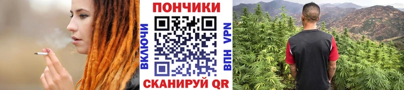 Каннабис гибрид mega маркетплейс Первомайск где можно купить наркотик