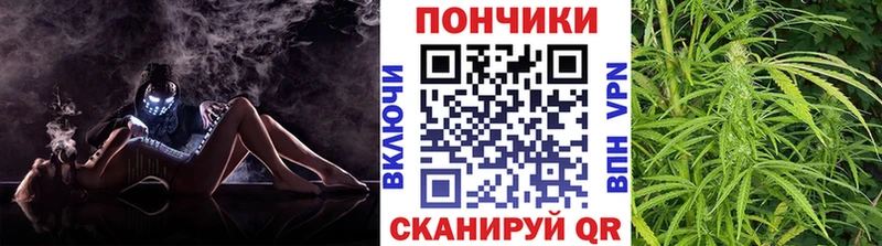 Бошки марихуана план Первомайск